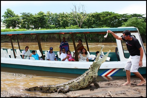 Crocodile Boat Tour